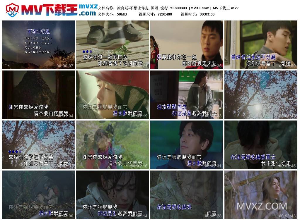 徐良廷-不想让你走_国语_流行_YF800393